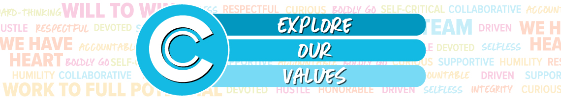 Careers - Our Values